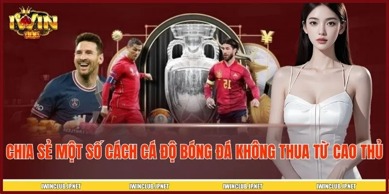 Chia sẻ một số cách chơi cá độ bóng đá không thua từ cao thủ