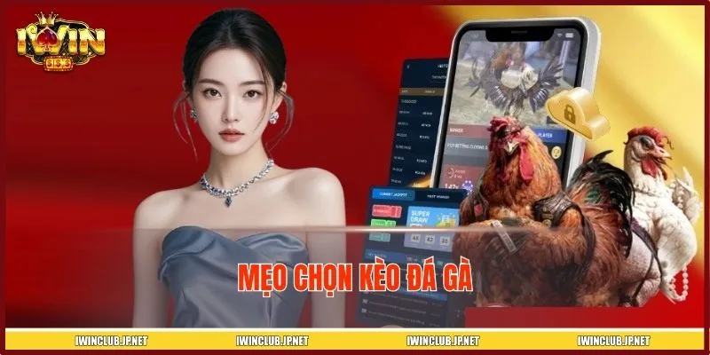 3 Mẹo Chọn Kèo Đá Gà Chuẩn Xác Giúp Hội Viên IWIN Dễ Thắng