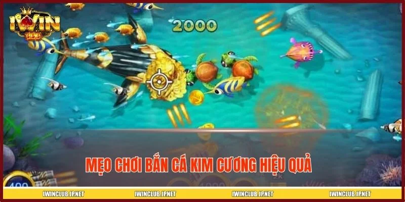 Mẹo chơi bắn cá kim cương săn thưởng khủng