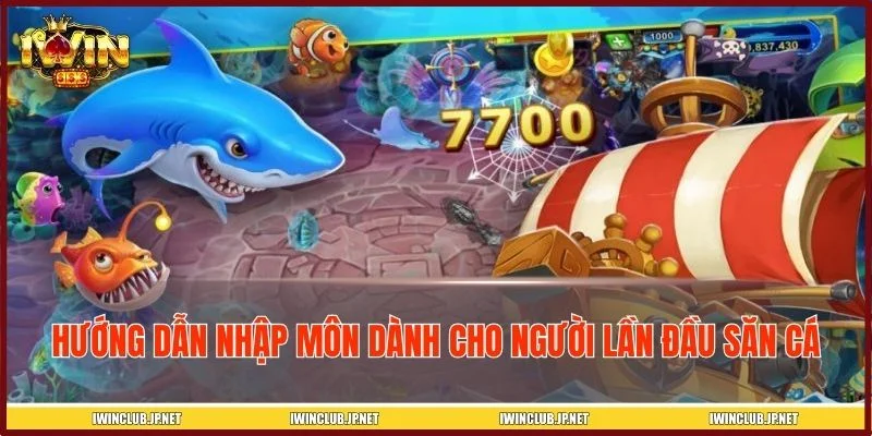 Kiến thức nhập môn không thể bỏ qua trước khi xuống đạn