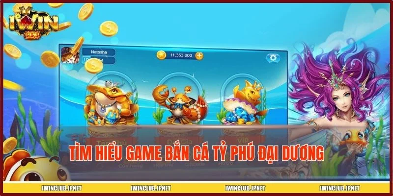 Khái quát cơ bản về Tỷ Phú Đại Dương